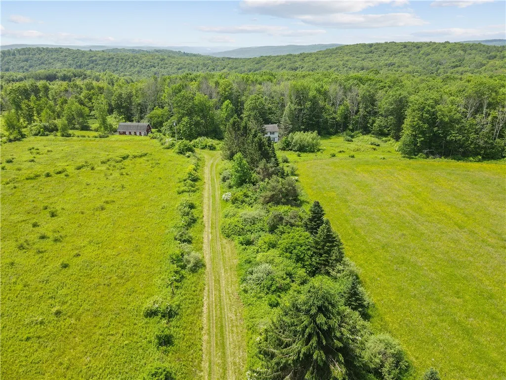 Property at 90 Parsons Hill Road, Berkshire, NY 13736