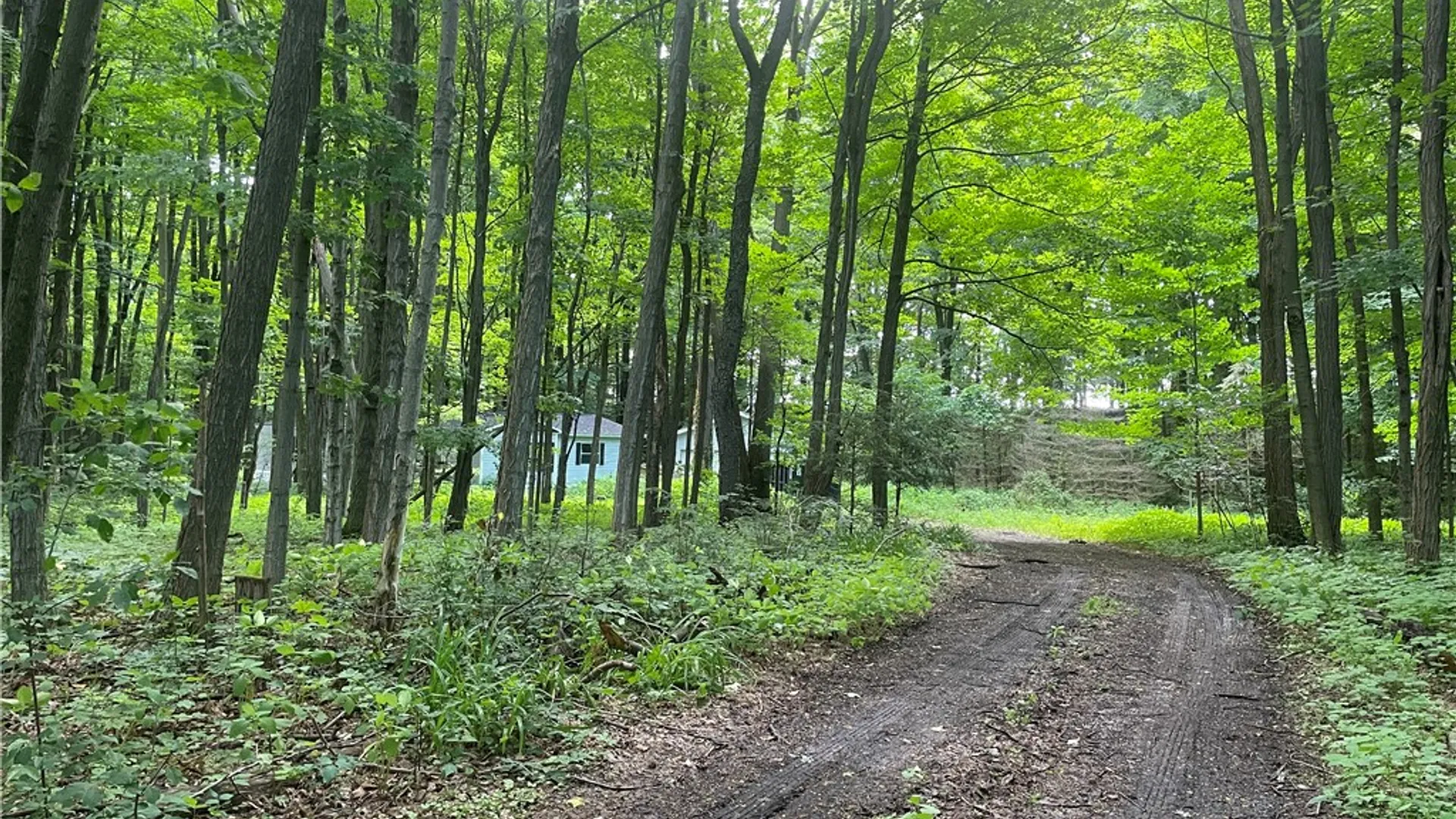 Property at 7991 Rock River Road, Ovid, NY 14847 21