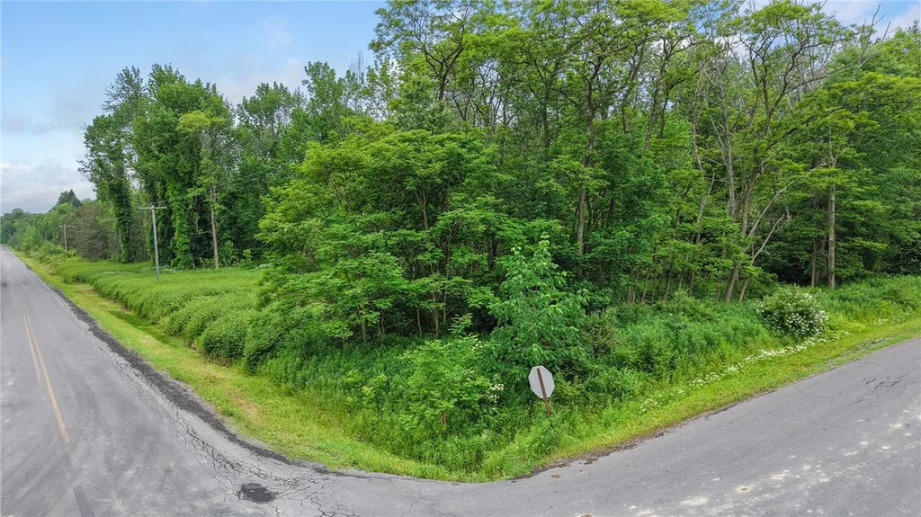 Property at 0 South Road, Lot B, Caroline, NY 14817