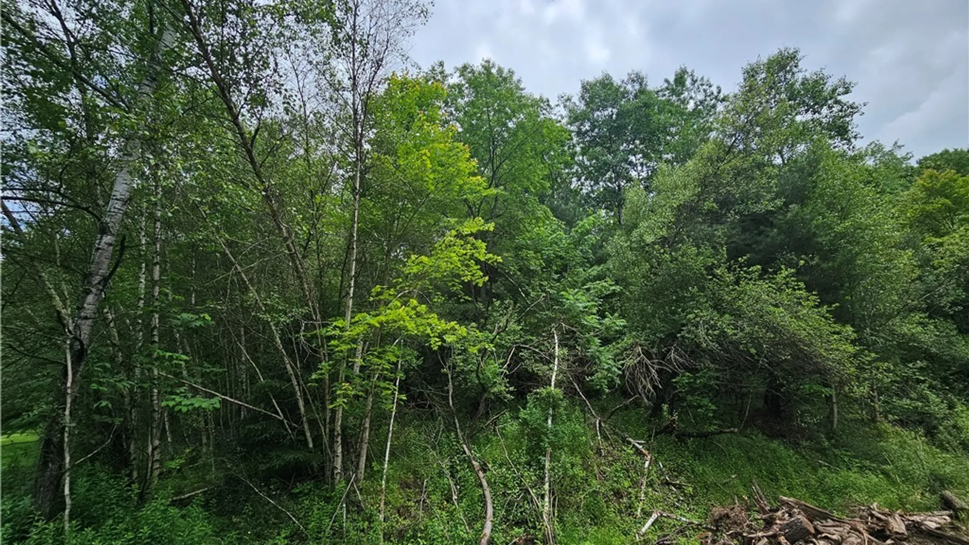 Property at 738 Four Mile Road, Allegany, NY 14706 5