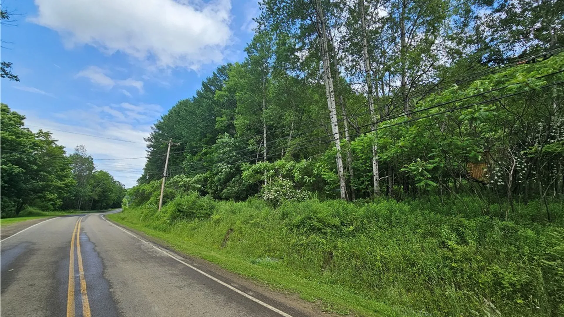 Property at 738 Four Mile Road, Allegany, NY 14706 8