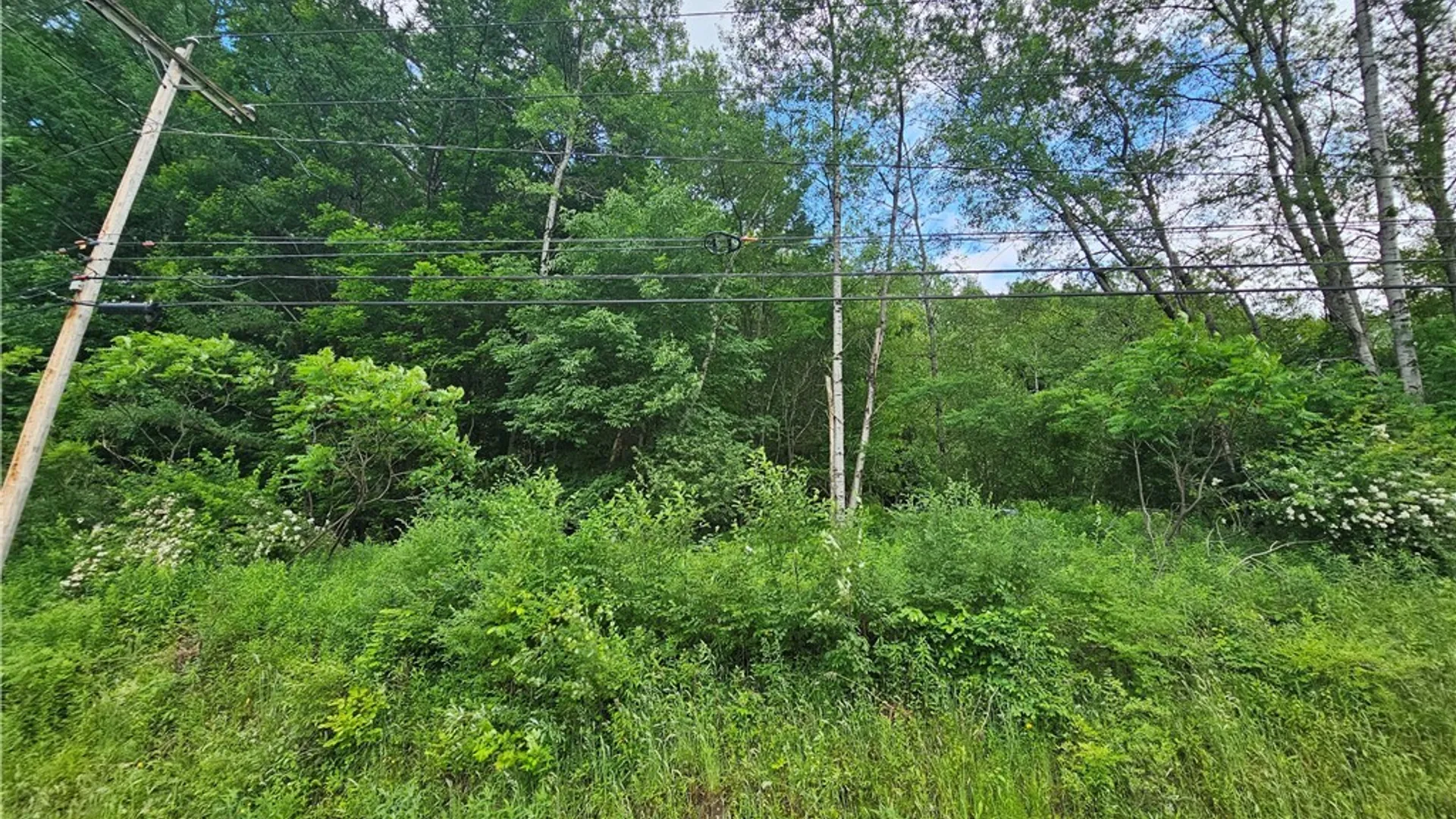 Property at 738 Four Mile Road, Allegany, NY 14706 3