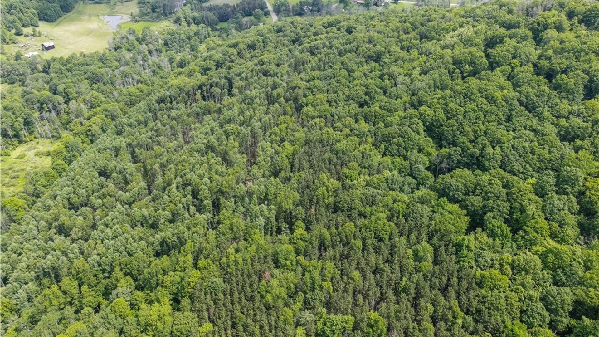 Property at 738 Four Mile Road, Allegany, NY 14706 4
