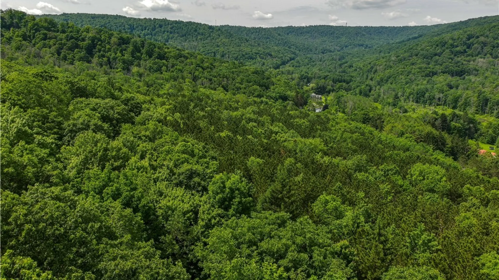 Property at 738 Four Mile Road, Allegany, NY 14706 13