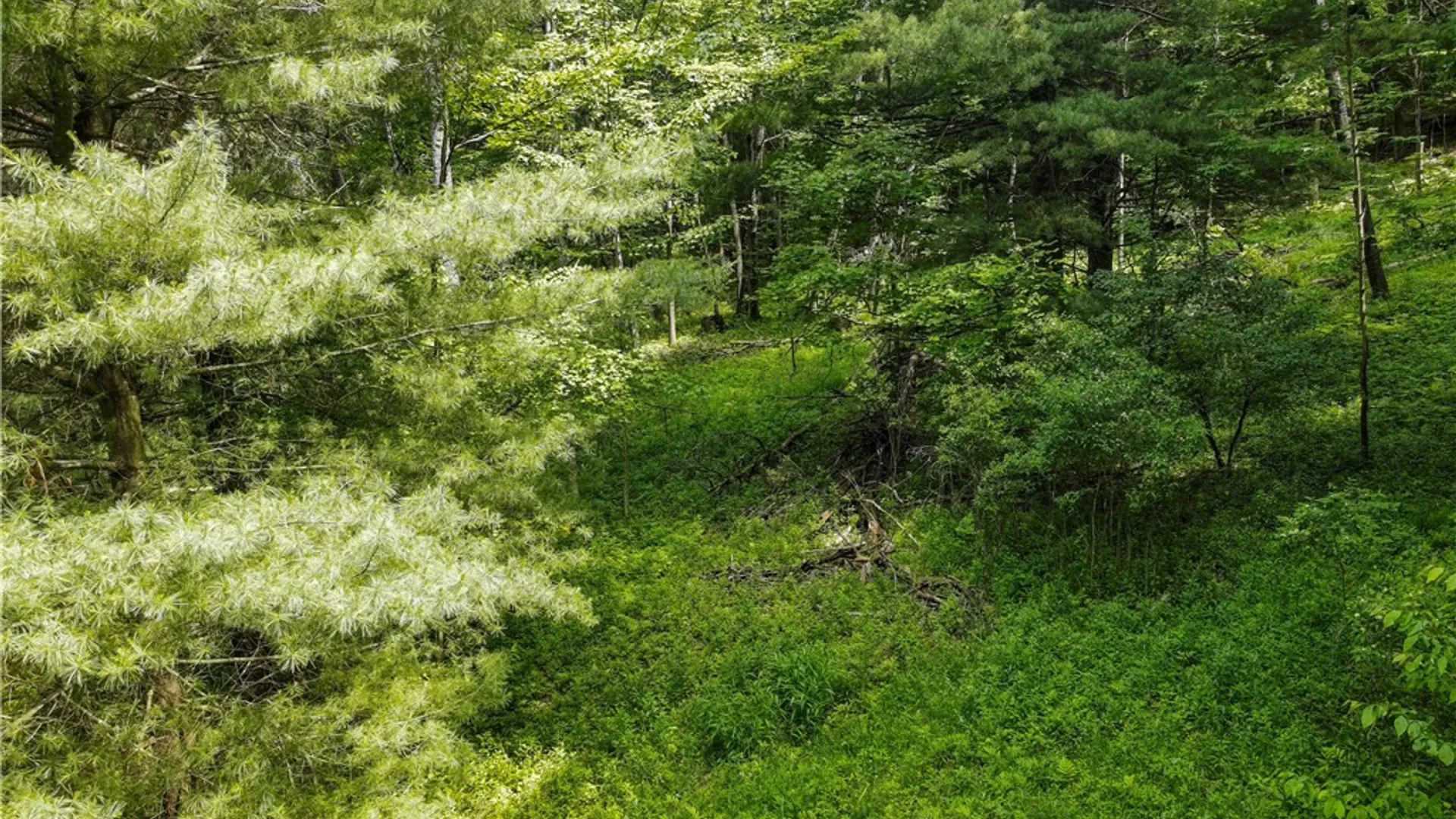 Property at 738 Four Mile Road, Allegany, NY 14706 14