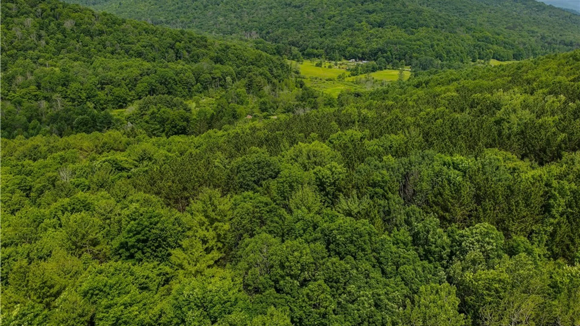 Property at 738 Four Mile Road, Allegany, NY 14706 17