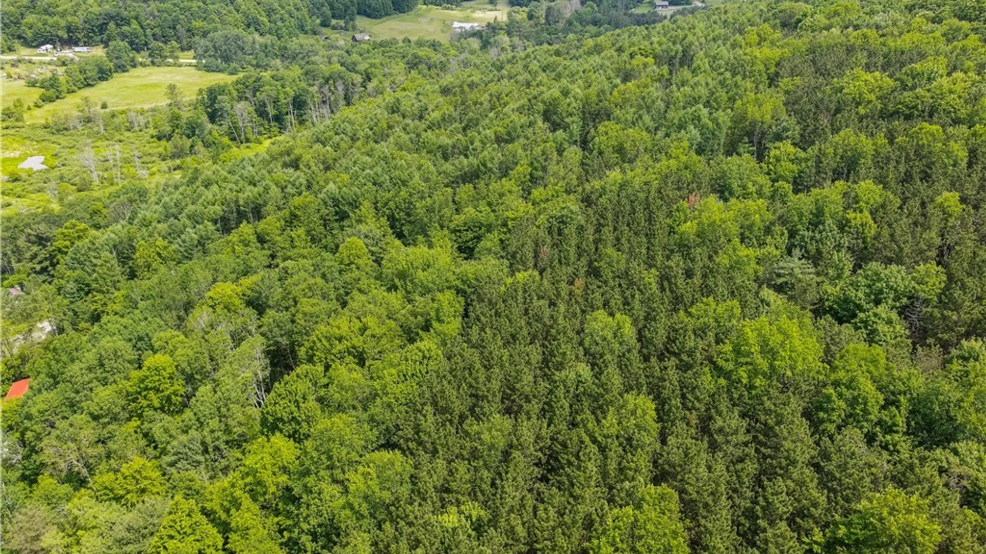 Property at 738 Four Mile Road, Allegany, NY 14706 12