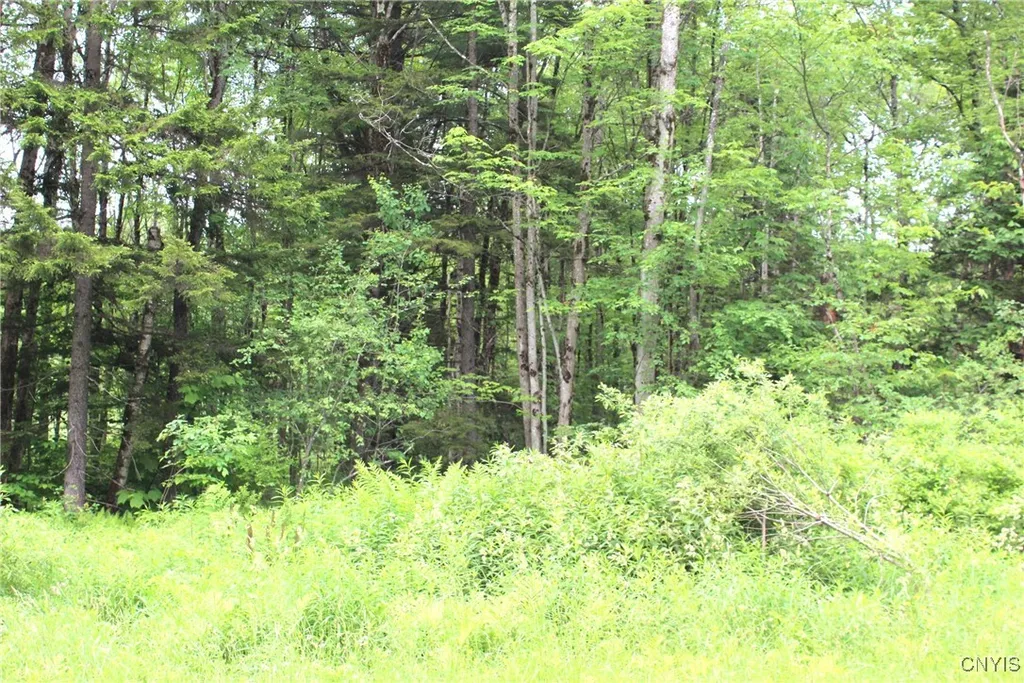 Property at Milk Road, Osceola, NY 13316