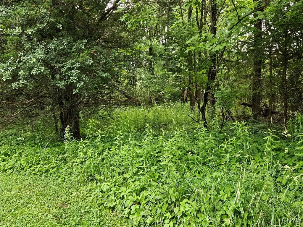 Property at Sims Lane, Cazenovia, NY 13035