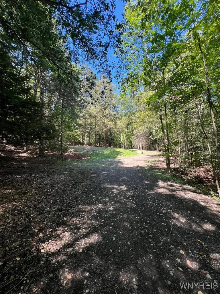 Property at 11256 Blanchard Road, Holland, NY 14080
