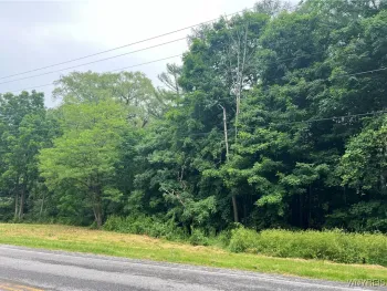 Property at Park Road, Castile, NY 14427