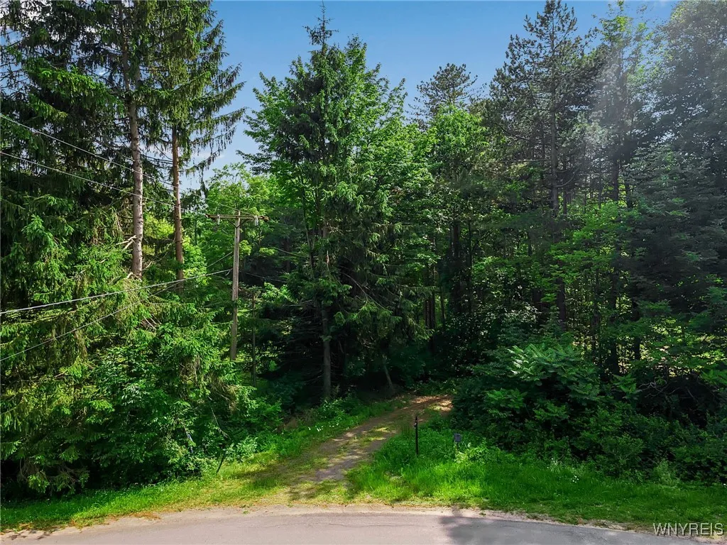 Property at 11665 Carpenter Road, Wales, NY 14169