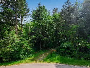 Property at 11665 Carpenter Road, Wales, NY 14169