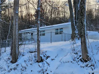 Property at 8905 W Bucktooth Run Road, Little Valley, NY 14755