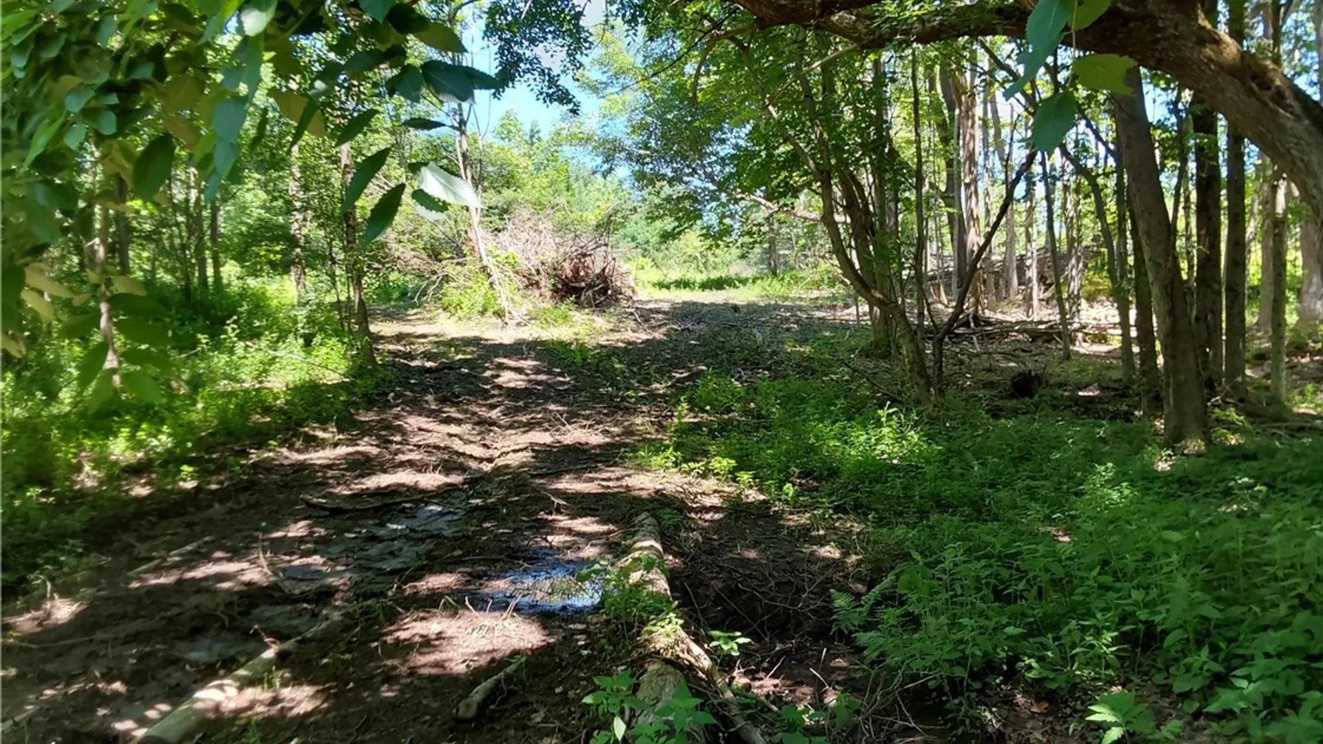 Property at 1273 Newport Gray Road Road, Norway, NY 13416 10
