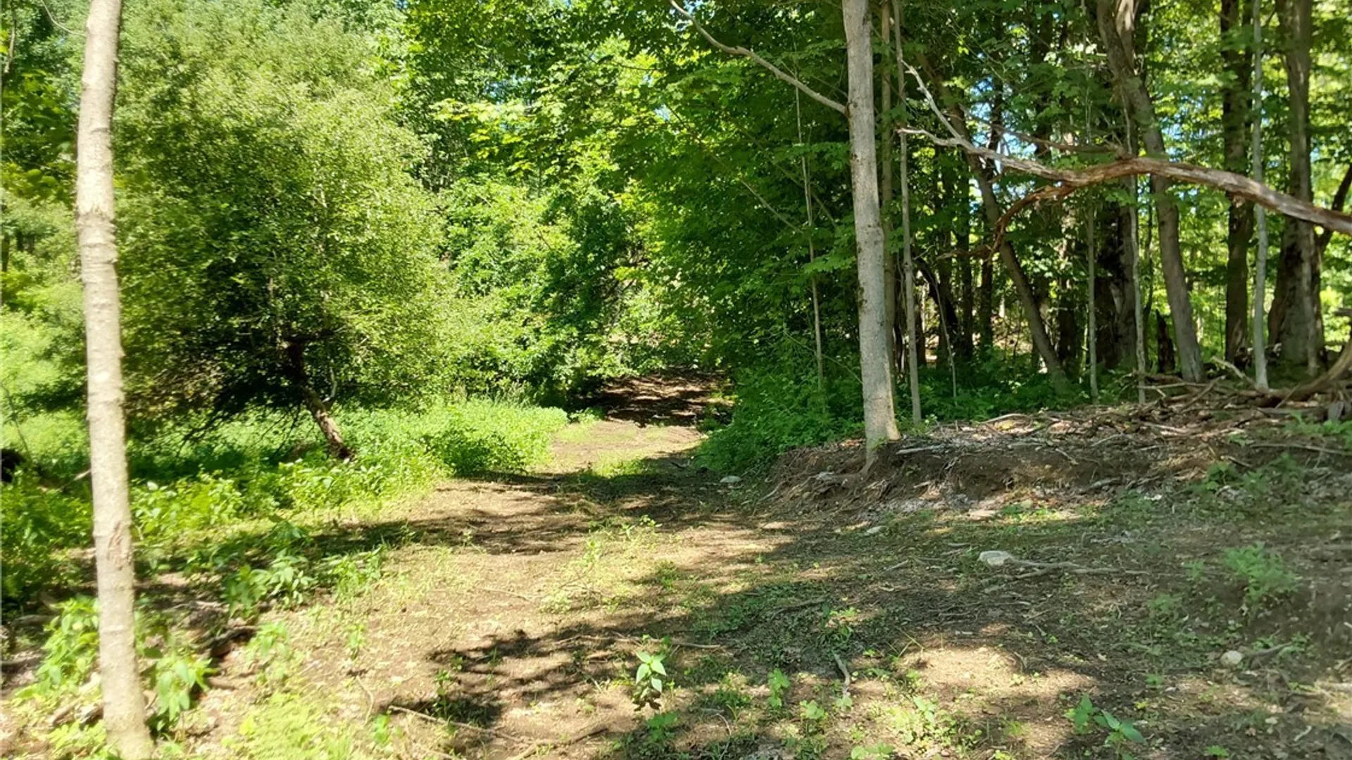 Property at 1273 Newport Gray Road Road, Norway, NY 13416 12