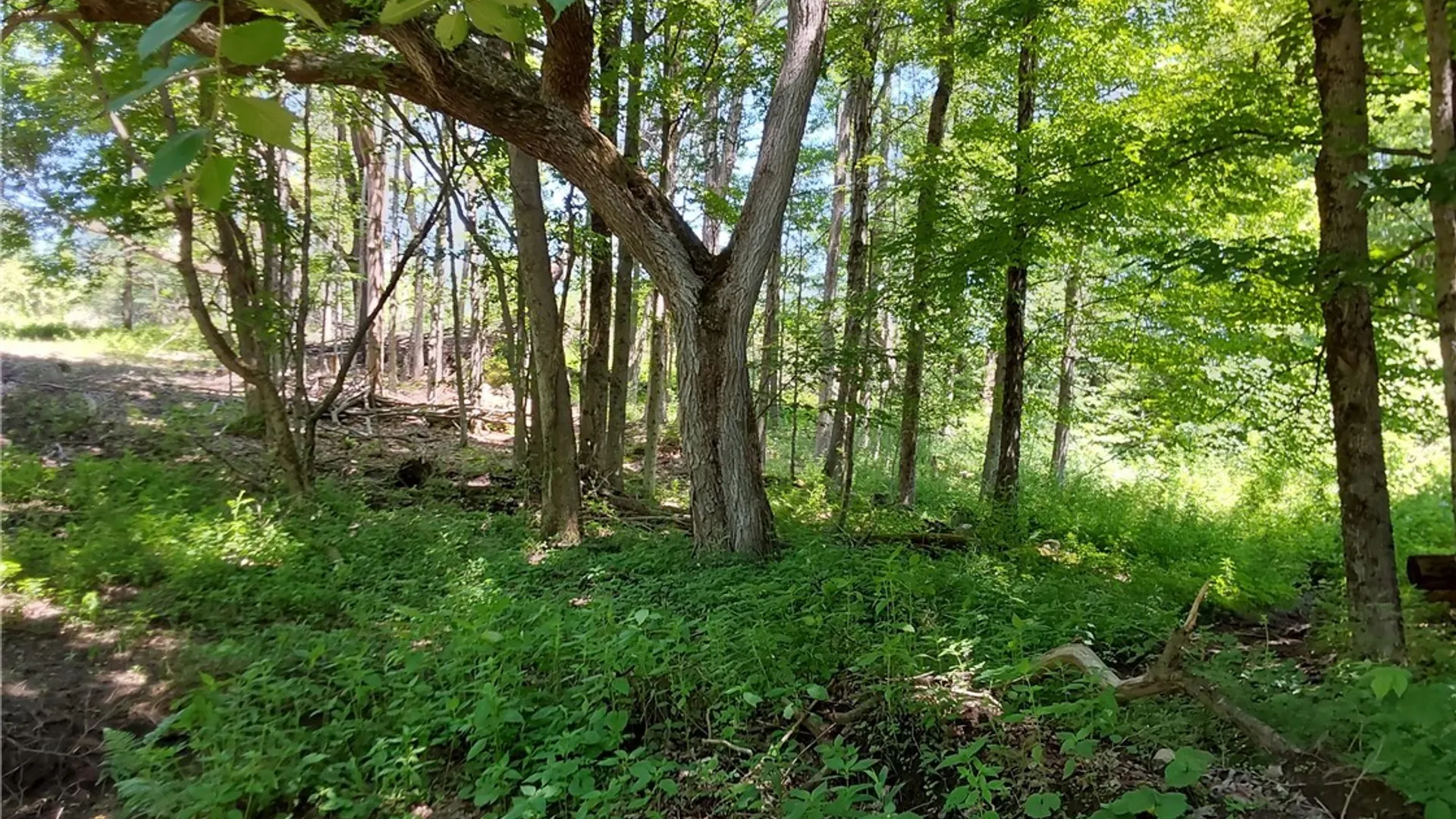 Property at 1273 Newport Gray Road Road, Norway, NY 13416 13