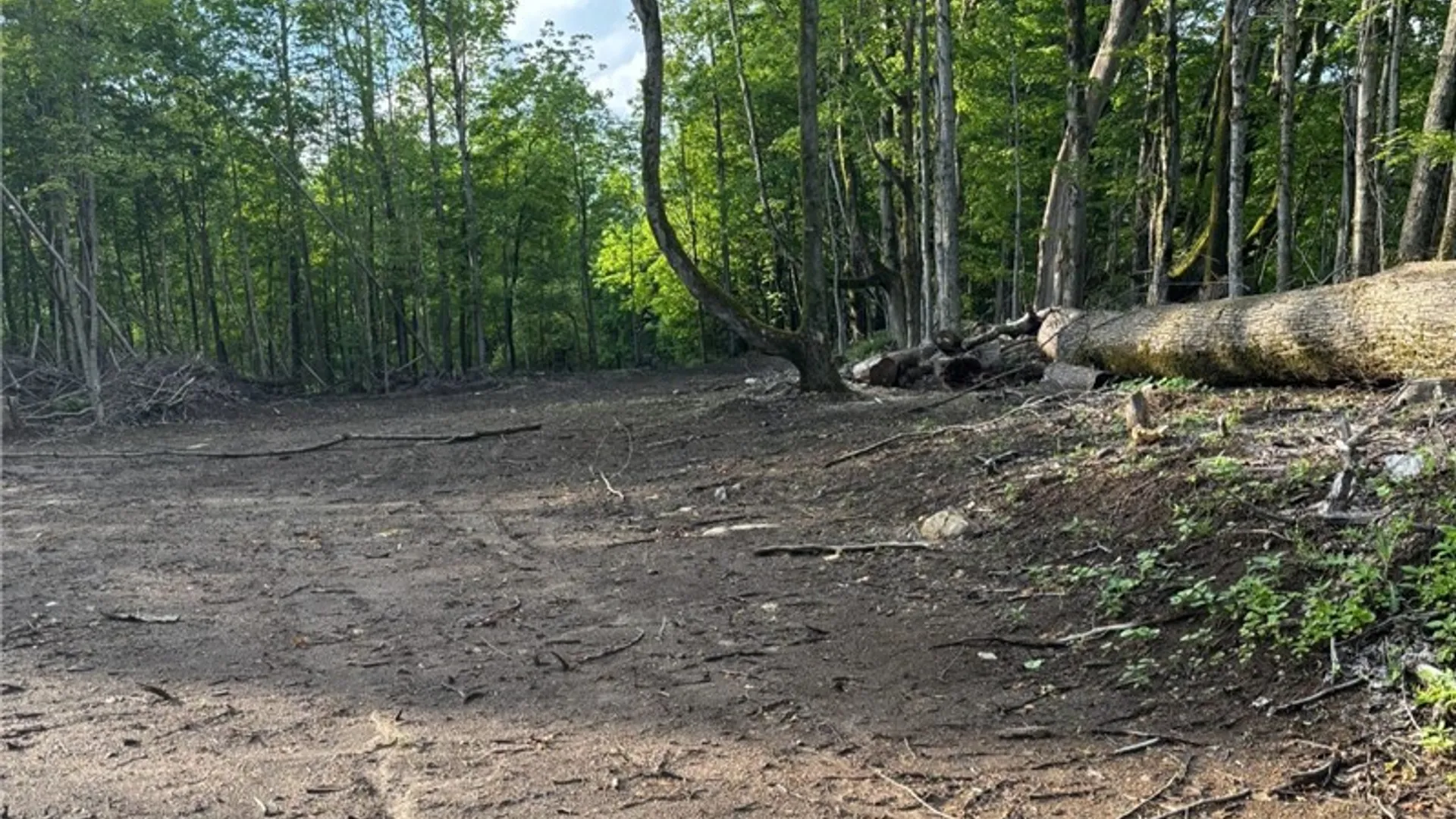 Property at 1273 Newport Gray Road Road, Norway, NY 13416 18