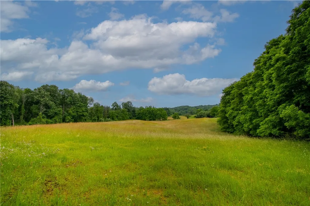 Property at VL County Rd 14, West Bloomfield, NY 14475
