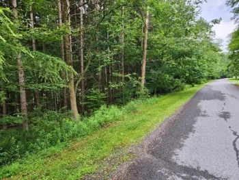 Property at Tyrolean Trail, Shippen Twp, PA 15834