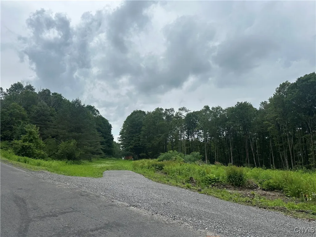 Property at 0000 Murphy Rd Road, Tully, NY 13159
