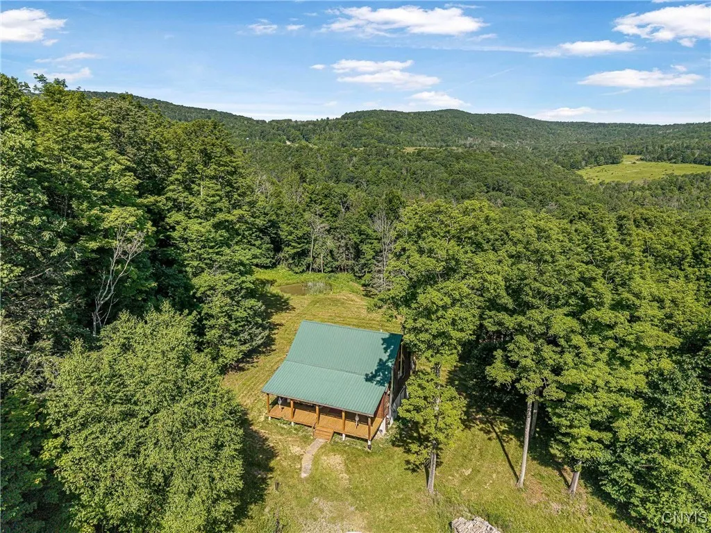 Property at 4902 Mcmaster Road, Cameron, NY 14819