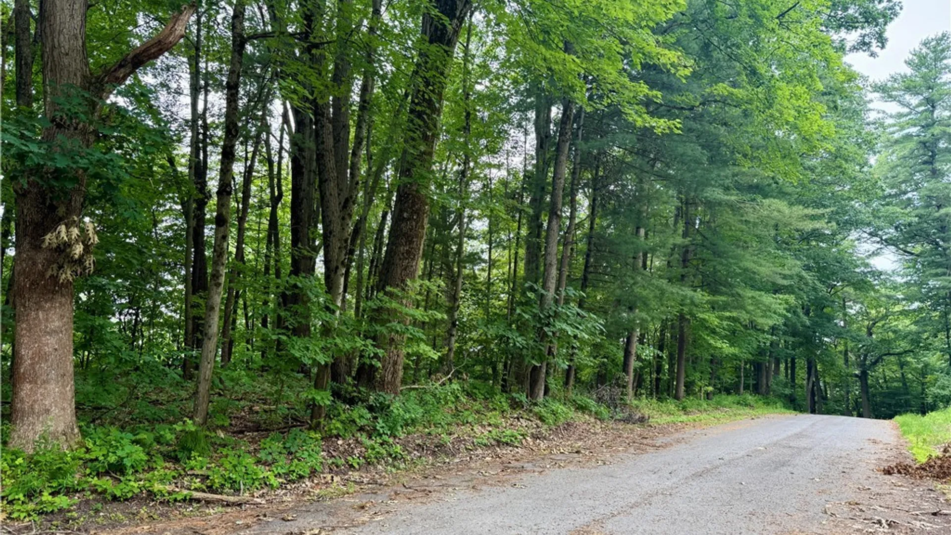 Property at Beck Road, Rome, NY 13308 5