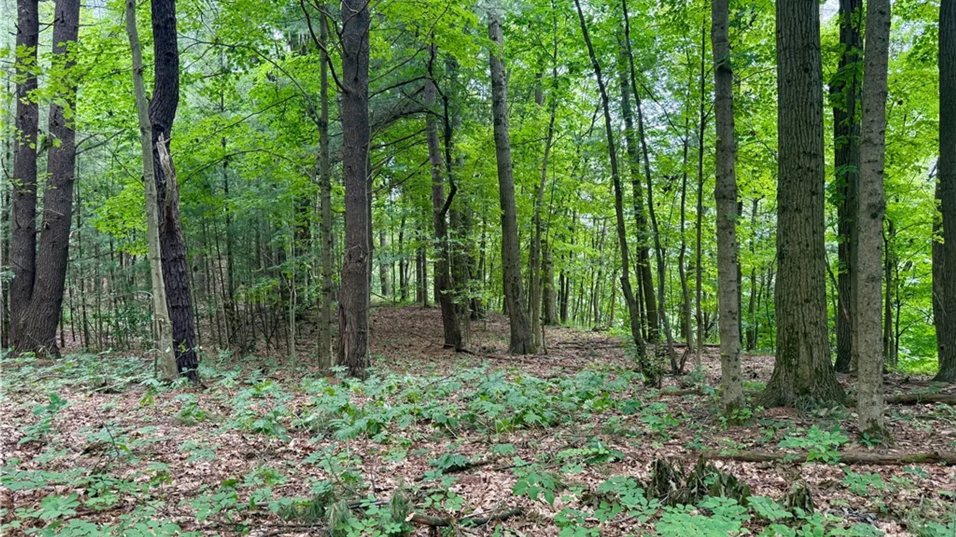 Property at Beck Road, Rome, NY 13308 6