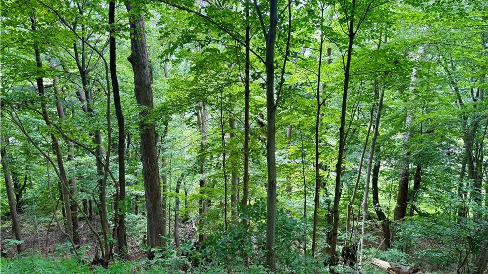 Property at Beck Road, Rome, NY 13308 7