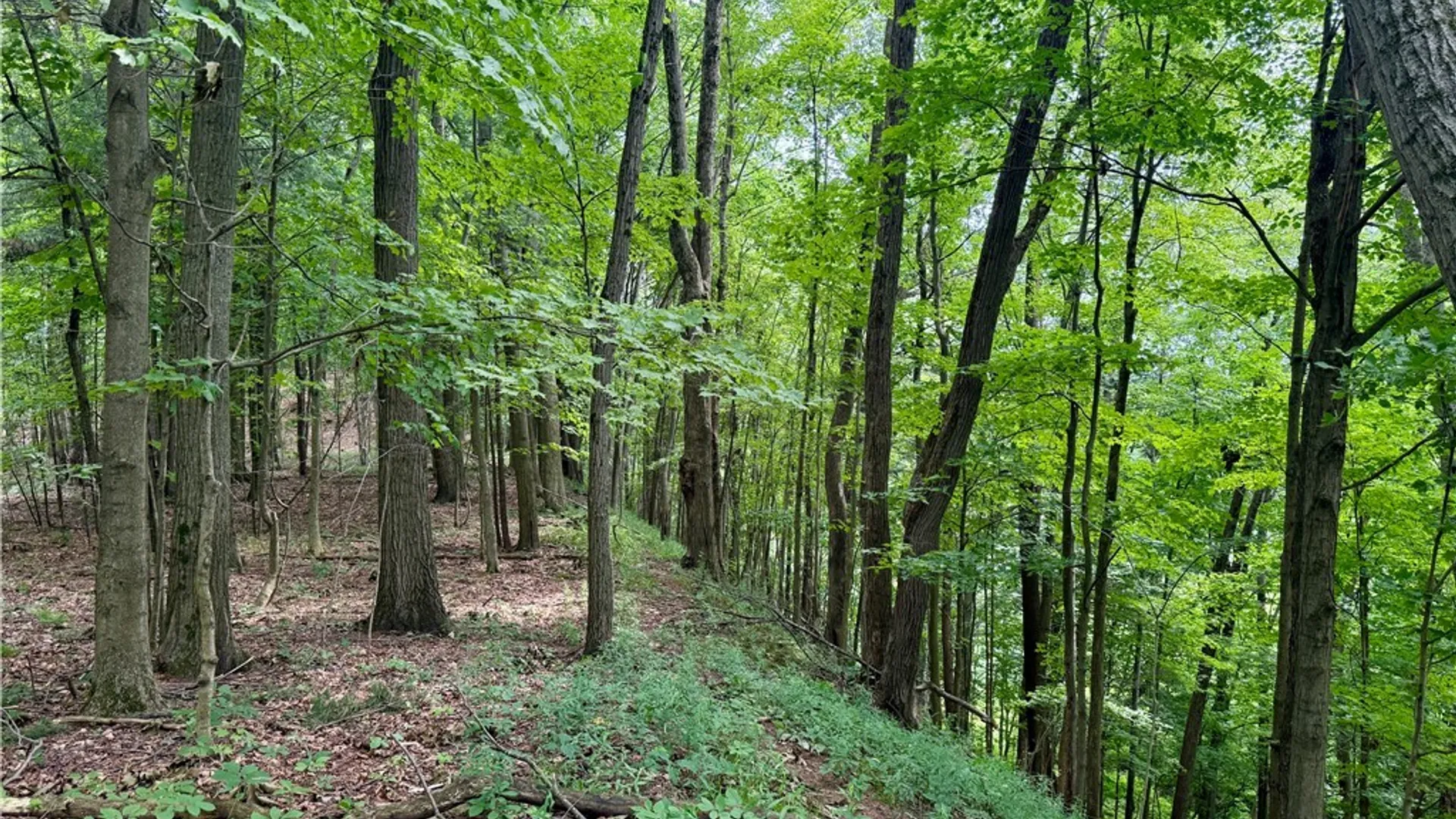 Property at Beck Road, Rome, NY 13308 8