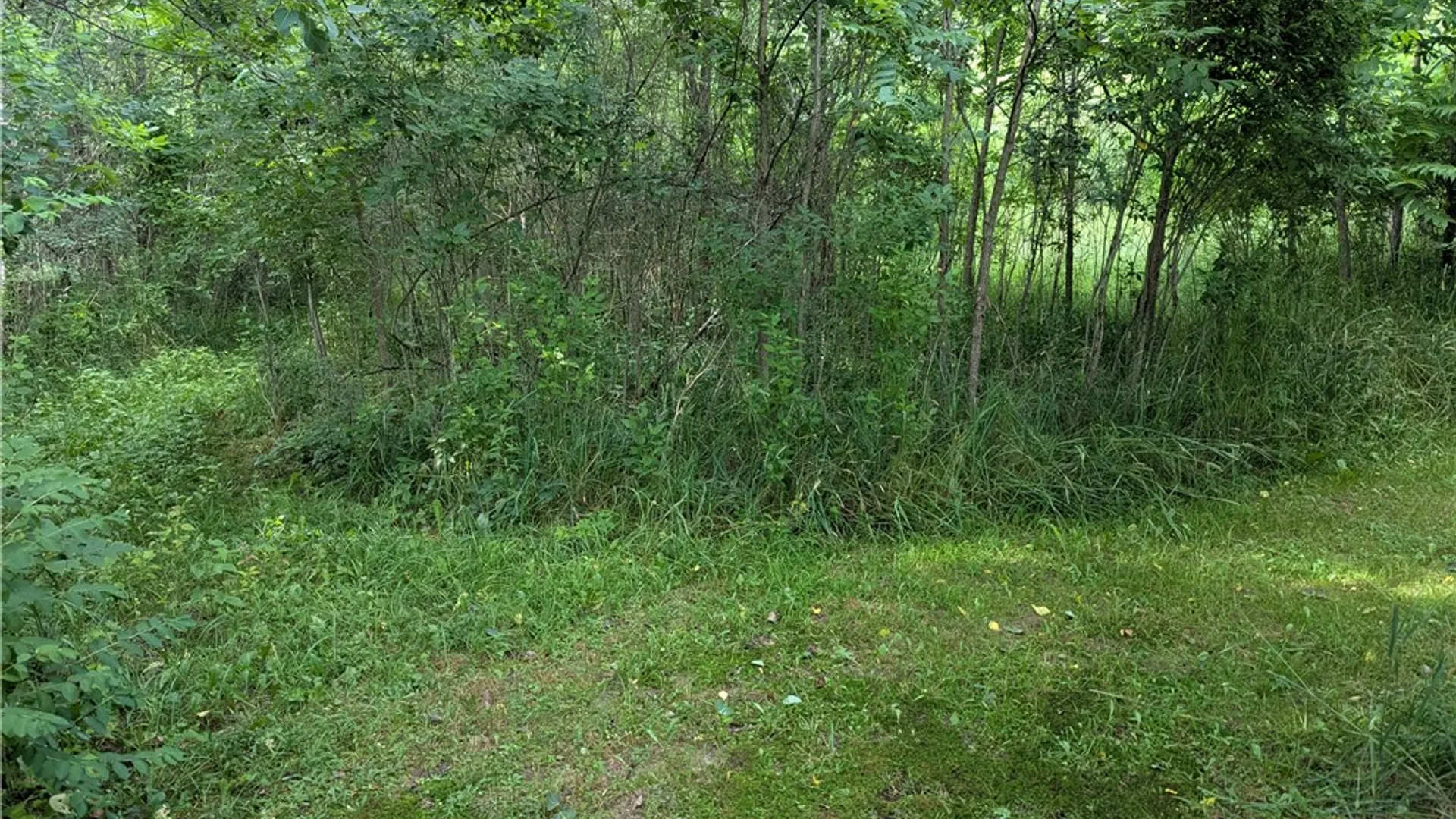 Property at 14671 Lime Kiln Road, Barre, NY 14411 10