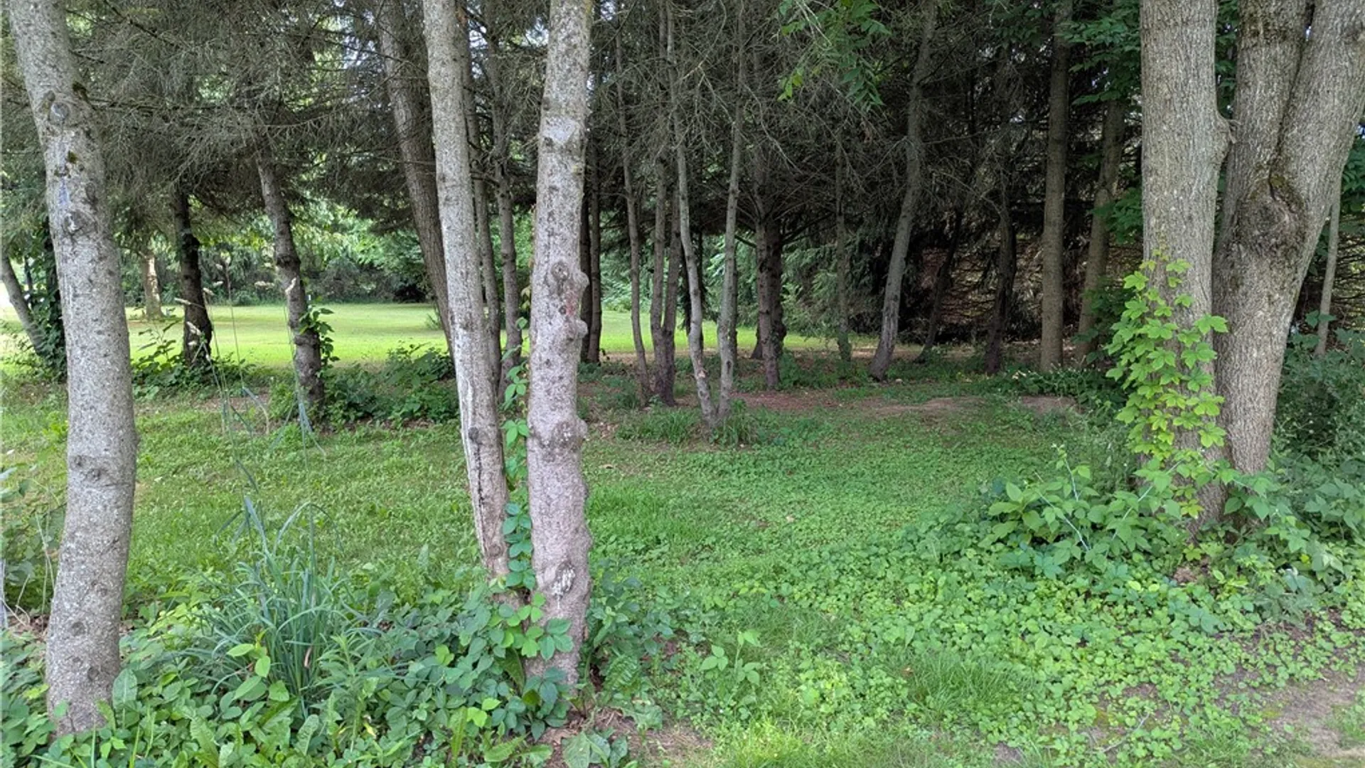 Property at 14671 Lime Kiln Road, Barre, NY 14411 11