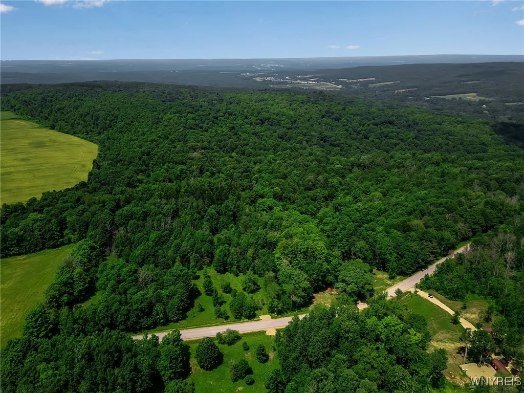 Property at 00 Snake Run Road, East Otto, NY 14729