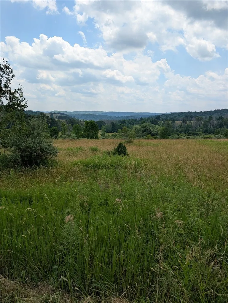 Property at 1922 Harkenrider Road, Troupsburg, NY 14885