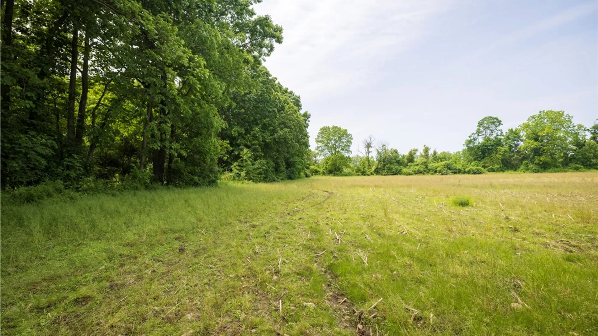 Property at Rush Scottsville Road, Rush, NY 14543 11