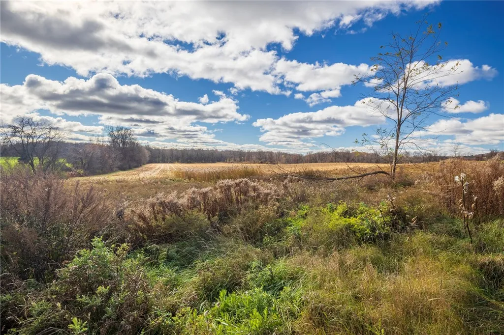 Property at Rush Scottsville Road, Rush, NY 14543
