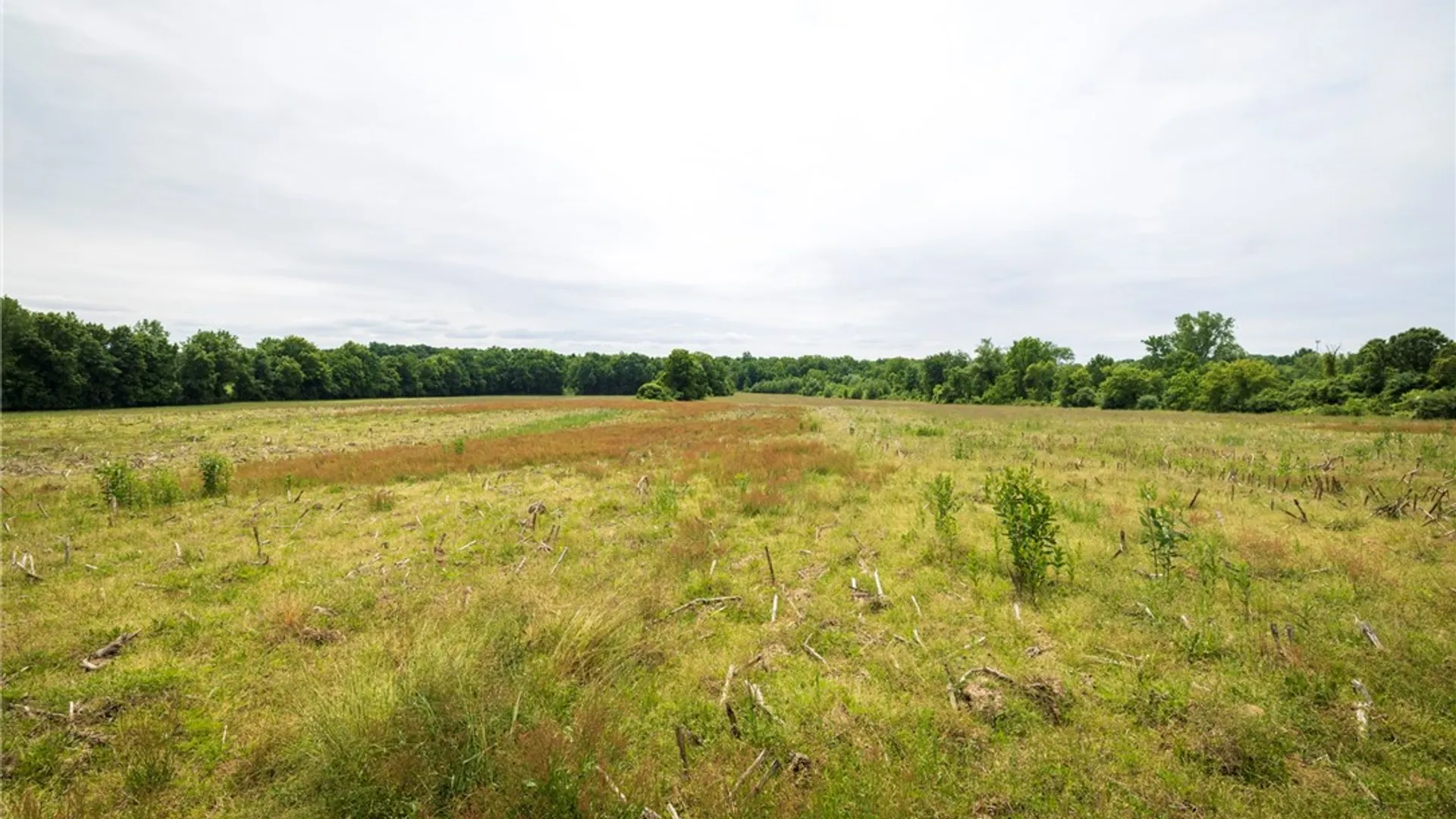 Property at Rush Scottsville Road, Rush, NY 14543 6