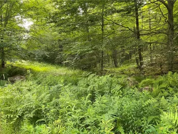 Property at 0 State Route 28, Webb, NY 13472