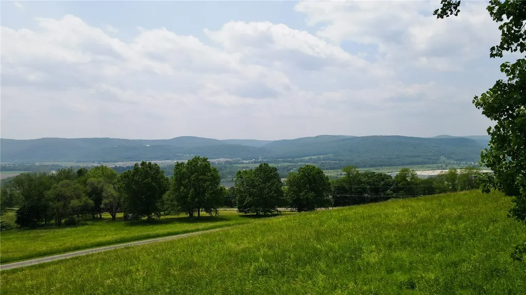 Property at 0 County Route 60, Chemung, NY 14825