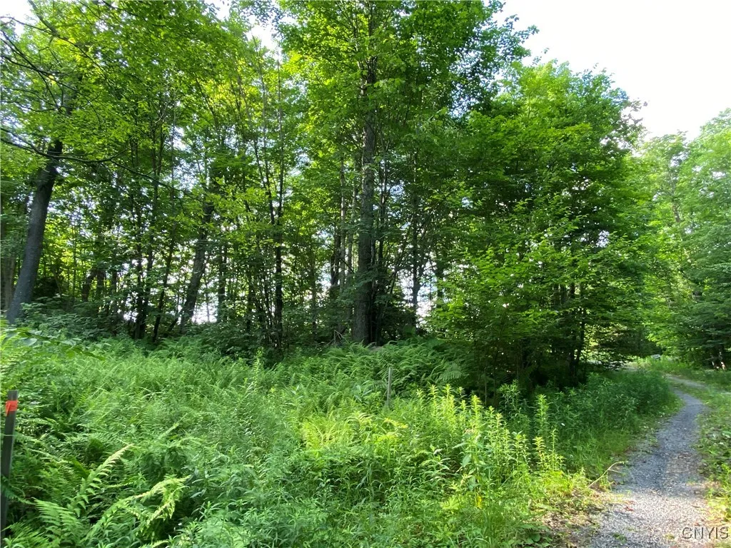 Property at 1517 State Route 28, Webb, NY 13472