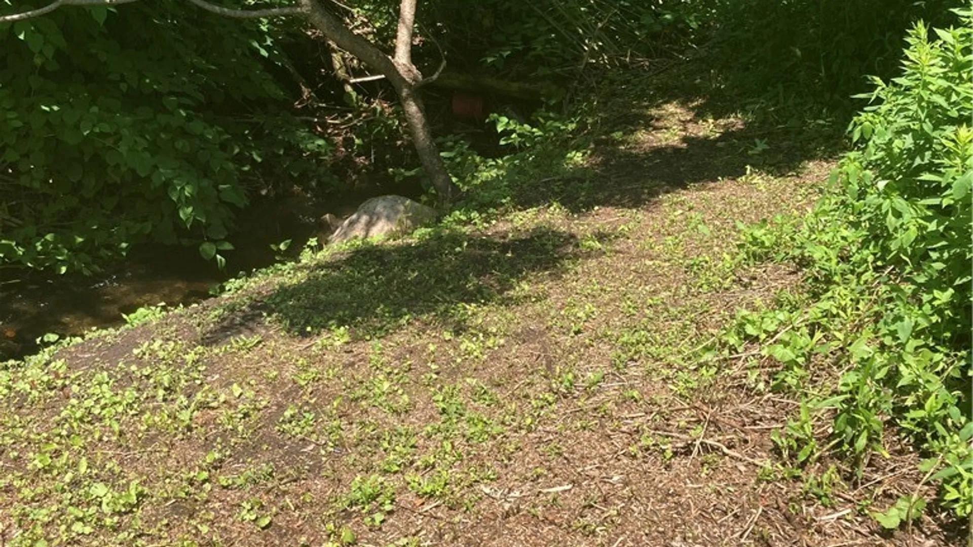 Property at 10435 State Rt, Ava, NY 13303 36
