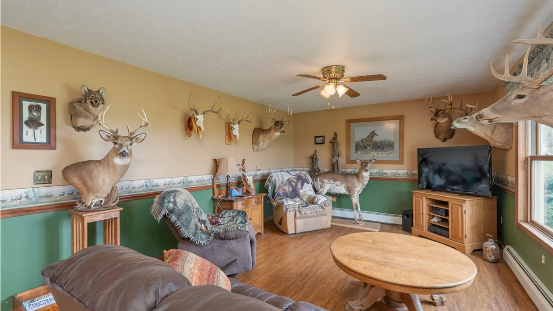 Property at 10131 Runyon Road, Ossian, NY 14437 17