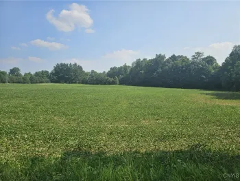 Property at Clinton Road, Brutus, NY 13166