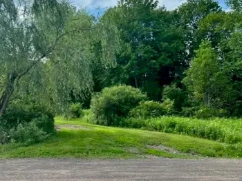 Property at 85 Crawford Road, Hamden, NY 13782