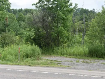 Property at 10568 Rt-16, Yorkshire, NY 14030