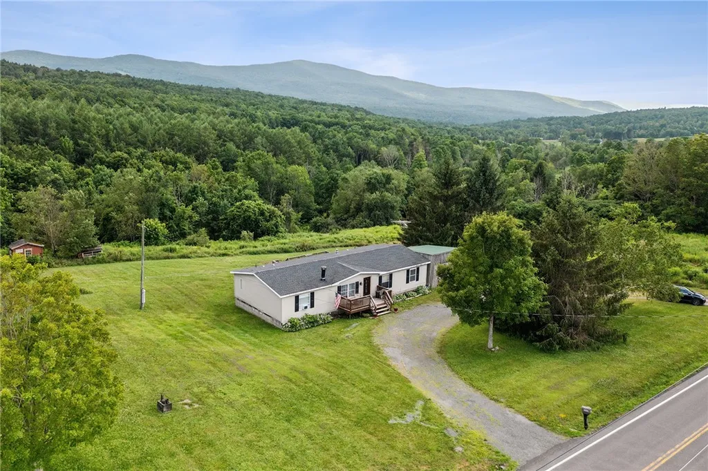 Property at 1002 Potter Mtn Road, Conesville, NY 12076