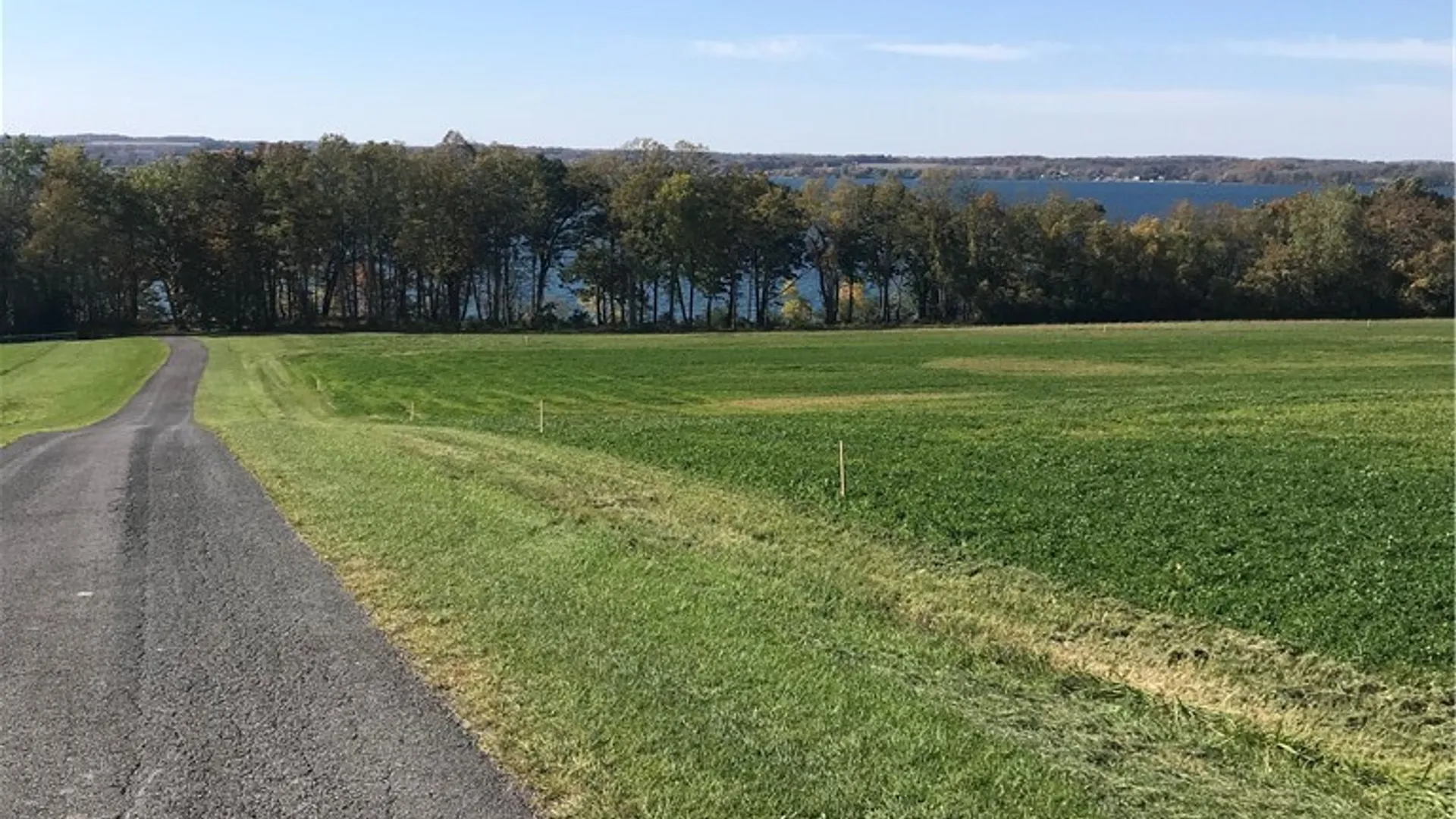 Property at 3625 State Route 90 Lot 4 & 4A&B, Ledyard, NY 13026 22