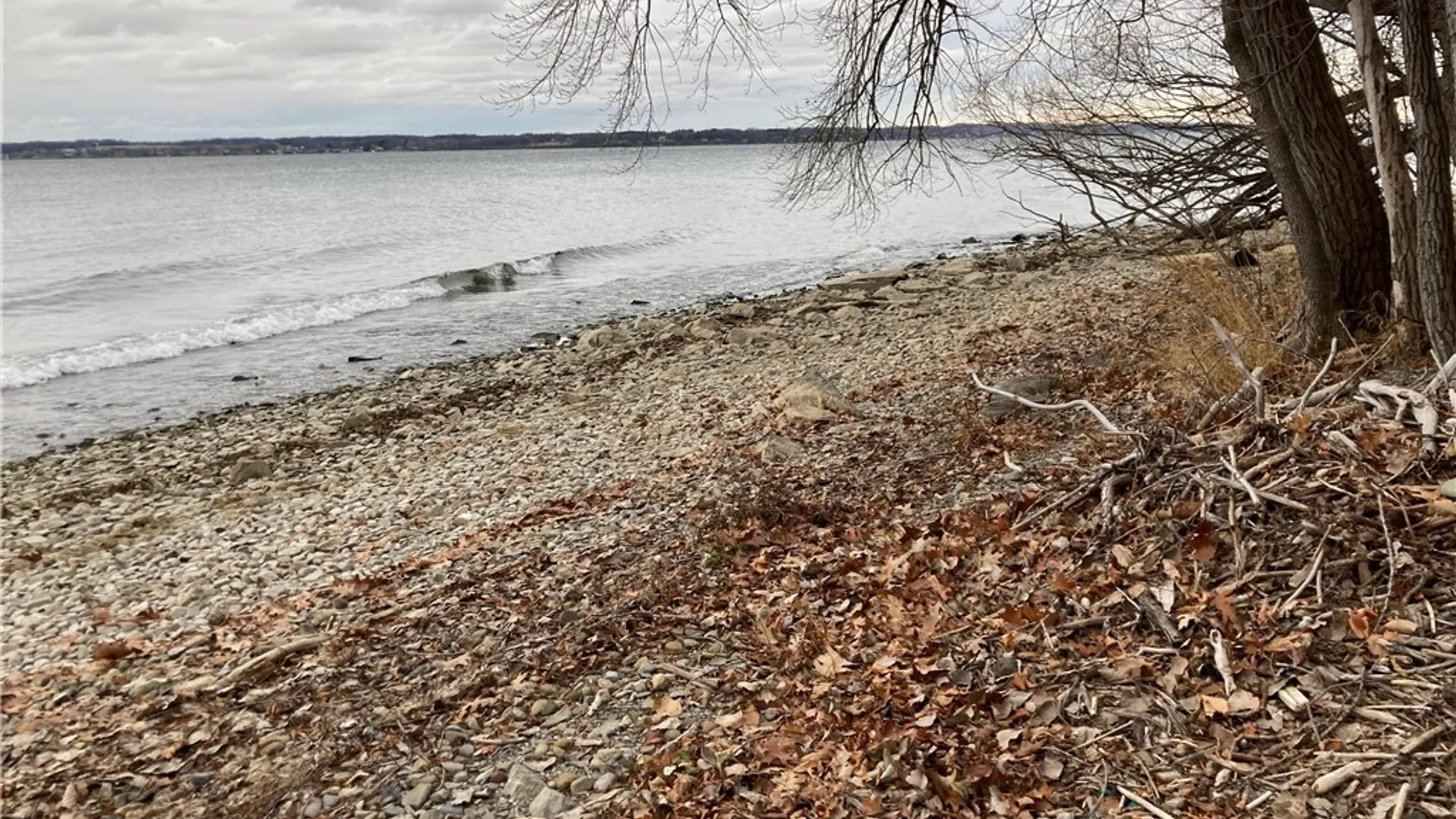 Property at 3625 State Route 90 Lot 4 & 4A&B, Ledyard, NY 13026 24