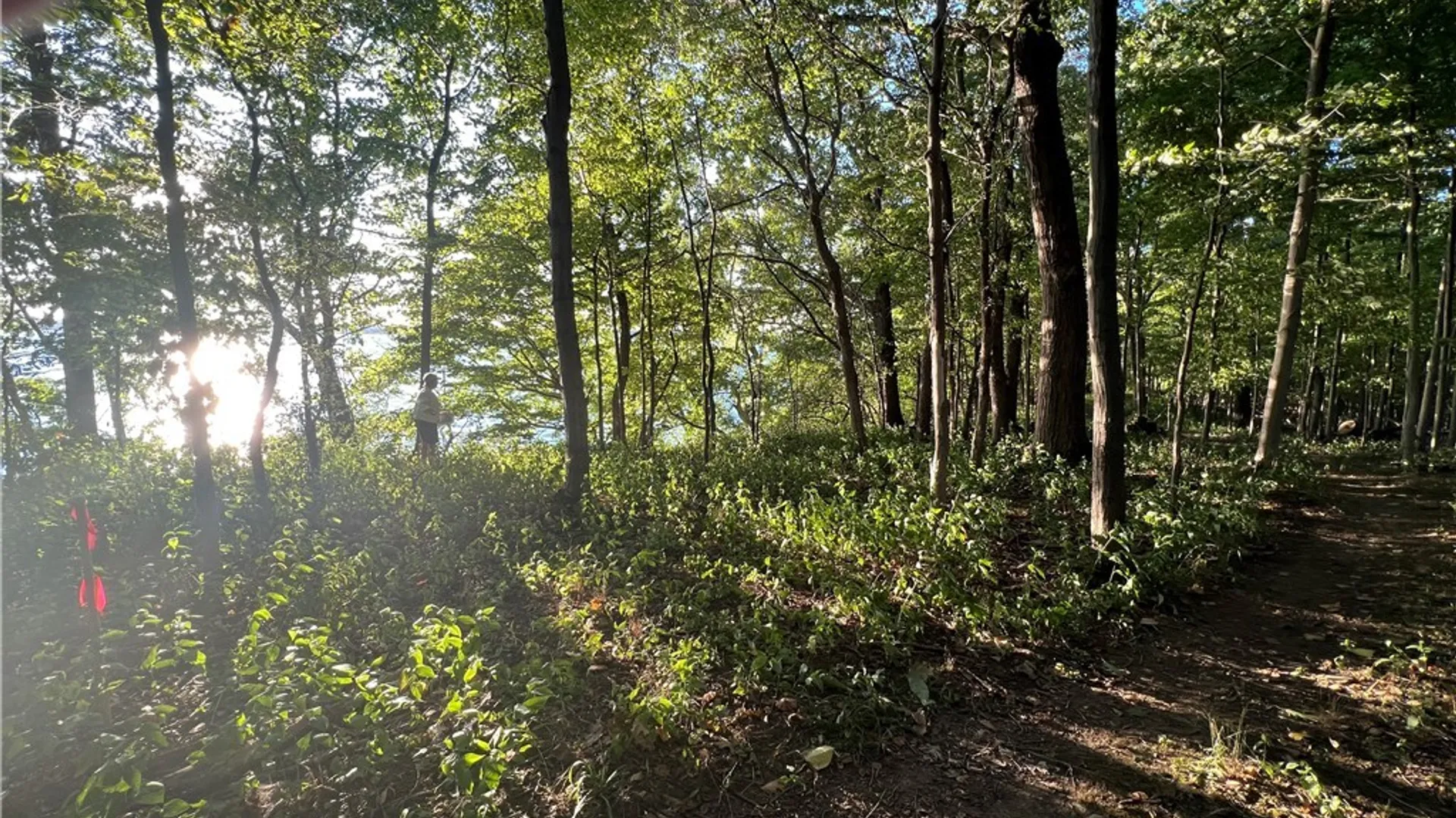 Property at 3625 State Route 90 Lot 4 & 4A&B, Ledyard, NY 13026 38