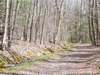 Property at Lots 11 & 12 Carpino Road, Andes, NY 13731